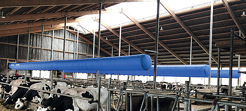 Lubratec Tube Cool Ein blauer Kühlungsschläuch ist zur Kühlung über den Rindern angebracht