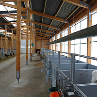 Lubratec Tube Cool oberhalb von leeren Stallboxen An der Decke aufgehangener Lubratec Tube Cool oberhalb von leeren Stallboxen