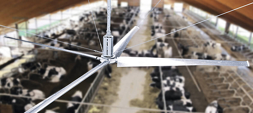 Lubratec Deckenventilator Großraumventilator zur Luftumwälzung in einem Milchviehstall