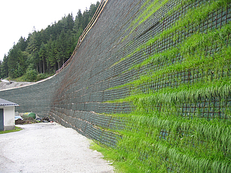 Ein Hang der durch Fortrac Nature gehalten wird.